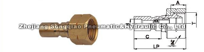 1686966299175570.jpg 121009112937201973sgu7mpiartei.JPG