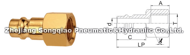 1686979172994656.jpg 16008266771475538.jpg